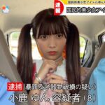 国民的美少女アイドル小学生の妹が逮捕されました