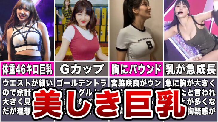 【羨ましい】可愛くて巨乳なKPOPアイドル14選