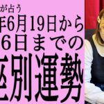 ★忖度なし★2023年6月19日〜6月26日の星座別の運勢★運気を上げるアドバイスつき★