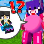 アイドルの子供になったすまない先生………【 マイクラ / マインクラフト 】