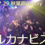 2023/7/29 アルカナビス 秋葉原Galaxy