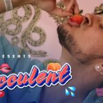 AKB – SUCCULENT – Prod. by Audiocrackerr