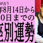 ★忖度なし★2023年8月14日〜8月20日の星座別の運勢★運気を上げるアドバイスつき★