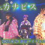 2023/8/24 アルカナビス 新宿アイドルステージ 浴衣公演