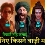 Gadar 2 Box office collection, Jawan, Salaar, OMG 2, JAILER, Sunny Deol, Akshay Kumar, Shahrukh Khan