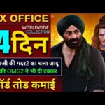 OMG 2 GADAR 2 Box office collection, OMG2 Collection ,Sunny Deol, Akshay Kumar, #gadar2 #omg2