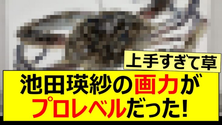 【乃木坂46】池田瑛紗の画力がプロレベルだった!【ネットの反応】【反応集】