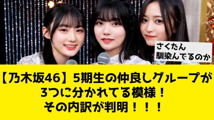 【乃木坂46】5期生の仲良しグループが3つに分かれてる模様！その内訳が判明！！！