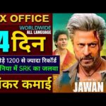 Jawan Box office collection, Shahrukh Khan, Jawan 13th Day Collection All Languages worldwide #jawan