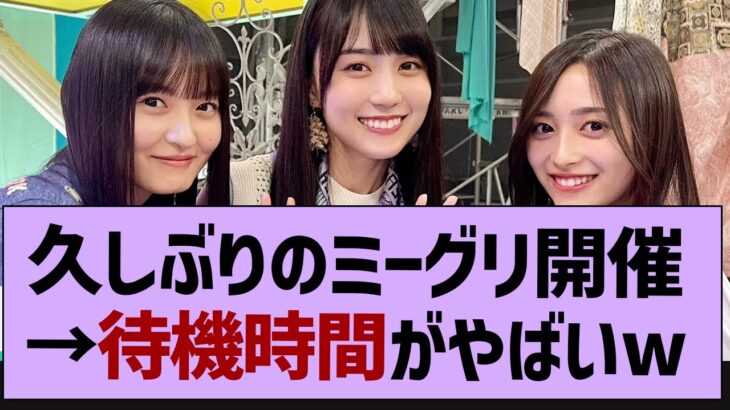 久しぶりのミーグリ、待機列がやばすぎるw【乃木坂46・井上和】