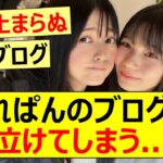 【乃木坂46】てれぱんのブログが泣けてしまう…【ネットの反応】【反応集】