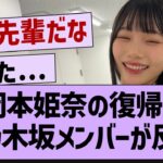 おかひな復帰に元乃木坂メンバーが反応！【乃木坂工事中・乃木坂46・乃木坂配信中】