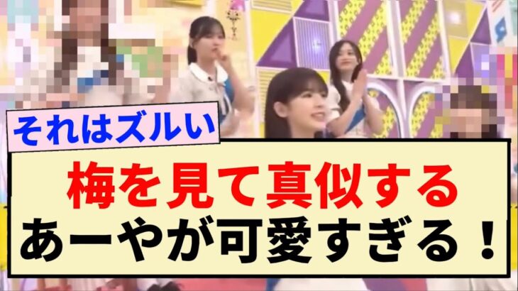 【乃木坂工事中】梅を見て真似するあーやが可愛すぎる！！【乃木坂46・梅澤美波・小川彩】