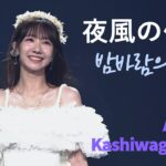 AKB48 카시와기 유키  – 밤바람의 소행(夜風の仕業) [한글자막] / Request Hour 2023 Top1