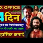 Animal Box office collection, Ranbir Kapoor, Bobby Deol, Animal 13 Days Collection worldwide, Animal