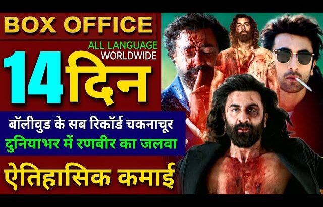 Animal Box office collection, Ranbir Kapoor, Bobby Deol, Animal 13 Days Collection worldwide, Animal