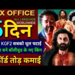 Animal Box office collection, Ranbir Kapoor, Bobby Deol, Animal 4th Day Collection worldwide, Animal