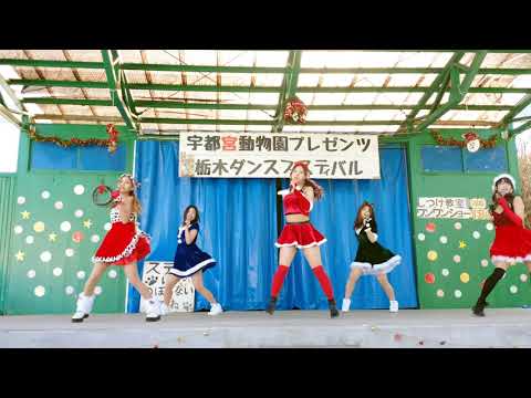 YJCダンススタジオ＿「アイドル」＿2023.12.03 宇都宮動物園 栃木ダンスフェスティバル