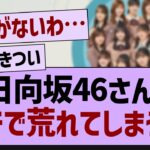 日向坂46さん、ガチで荒れてしまう…【乃木坂46・乃木坂配信中・日向坂46】