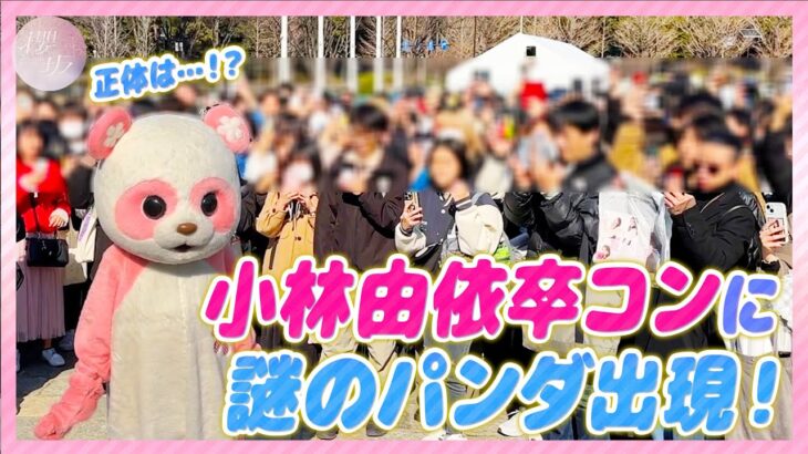 【潜入】「小林由依 卒業コンサート」の会場にパンダが登場！【踊ってみた】