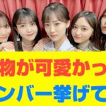 【乃木坂46】実物が可愛かったメンバー挙げてけ