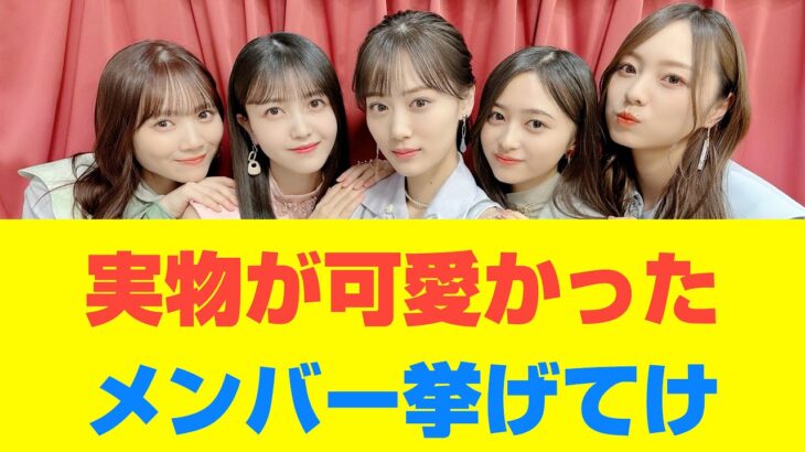 【乃木坂46】実物が可愛かったメンバー挙げてけ