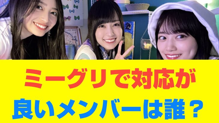 【乃木坂46】ミーグリで対応が良いメンバーは誰？