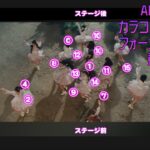 AKB48 カラコンウィンク ダンス フォーメーション 動画