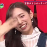 あちこちオードリー 苦労だらけの元アイドル人が厳しい芸能界を生き抜き感じたことを激白乃木坂時代OLとして一般企業で働きながら活動していた新内眞衣の異色なアイドル生活とは