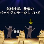 ハロプロに入った逸材のアイドル人生【猫ミーム】【猫マニ】