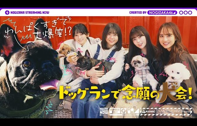 【癒し】メンバーが愛犬とドッグランで遊んでみた！【わんぱく犬の大暴走】