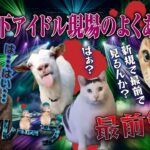 地下アイドル現場でよくある日常【猫ミーム】