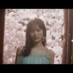 乃木坂46『夏桜』