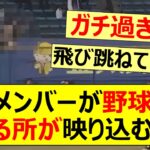 あのメンバーが野球観戦してる所が映り込むwww【乃木坂46・乃木坂配信中・乃木坂工事中・向井葉月】