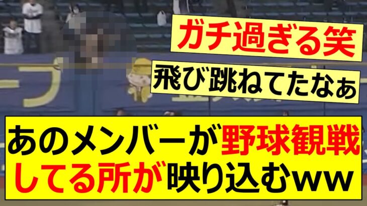 あのメンバーが野球観戦してる所が映り込むwww【乃木坂46・乃木坂配信中・乃木坂工事中・向井葉月】