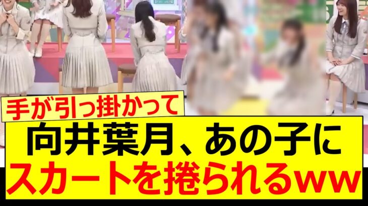 向井葉月、あの子にスカートを捲られるww【乃木坂46・伊藤理々杏・乃木坂配信中・乃木坂工事中】