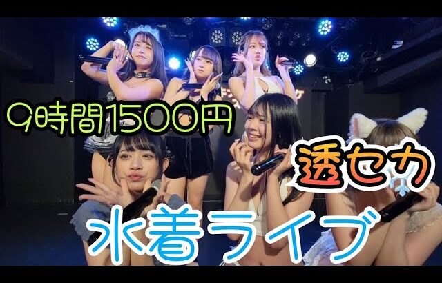 2024.6.21【#水着ライブ】定期公演 1部 @新宿DHNoA【#透セカ】【#9時間1500円】