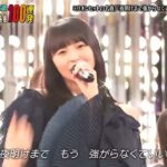 2024/06/26  乃木坂46「夜明けまで強がらなくてもいい」