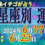 ★忖度なし★2024年6月17日〜6月23日の星座別の運勢★運気を上げるアドバイスつき★