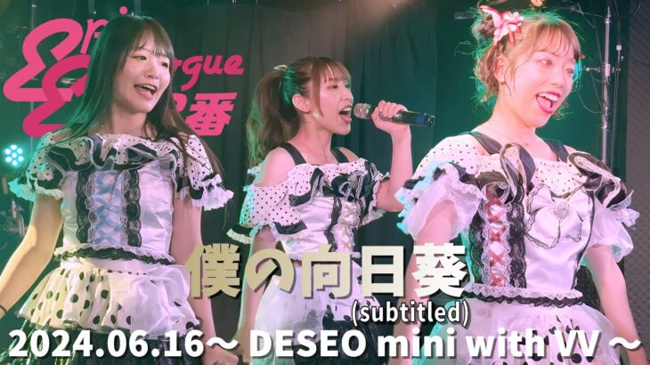 【エピック・エピローグ第3番】「僕の向日葵」《歌詞付》2024.06.16 DESEO mini with VV《4K画像》