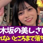 【乃木坂46】乃木坂の美しさは、もう戻れないところまで落ちている