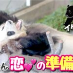 【パンダアイドル楓浜】どうかお願い‼️結ねぇが恋のストレッチタイムしてるから🐼