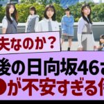 今後の日向坂46さん●●が不安すぎる件…【乃木坂46・乃木坂工事中・乃木坂配信中】