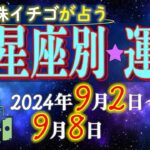 ★忖度なし★2024年9月2日〜9月8日の星座別の運勢★運気を上げるアドバイスつき★