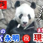 【パンダアイドル楓浜】㊗️32歳のレジェンド！永明パパがつないだ家族の絆🐼