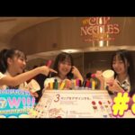 【映像倉庫】AKB48研究生のWOW!!!＃8  2024年9月27日(金)配信開始