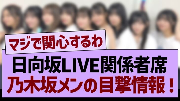 日向坂LIVE関係者席、乃木坂メンバーの目撃情報が！【乃木坂46・乃木坂工事中・乃木坂配信中】