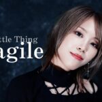 【元地下アイドルが歌う】fragile ／ Every Little Thing　HiiNA cover   あいのり　主題歌　歌ってみた