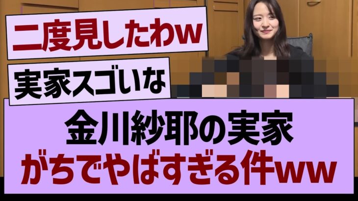 金川紗耶の実家がやばすぎたwww【乃木坂46・乃木坂工事中・乃木坂配信中】