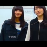 2024.11.03 乃木坂46 梅澤美波 久保史緒里 遠藤さくら 賀喜遥香 岡本姫奈 吉田綾乃クリスティー 金川紗耶 佐藤璃果